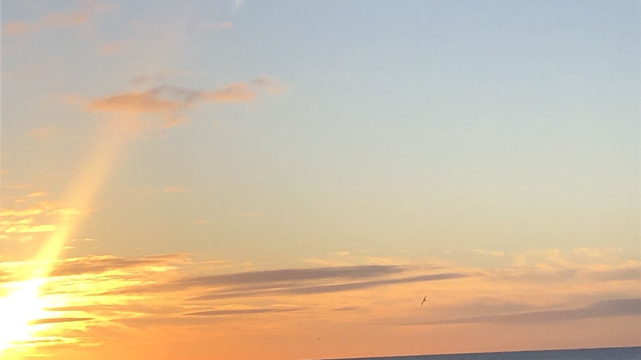 Photo of Others in Orange Beach
