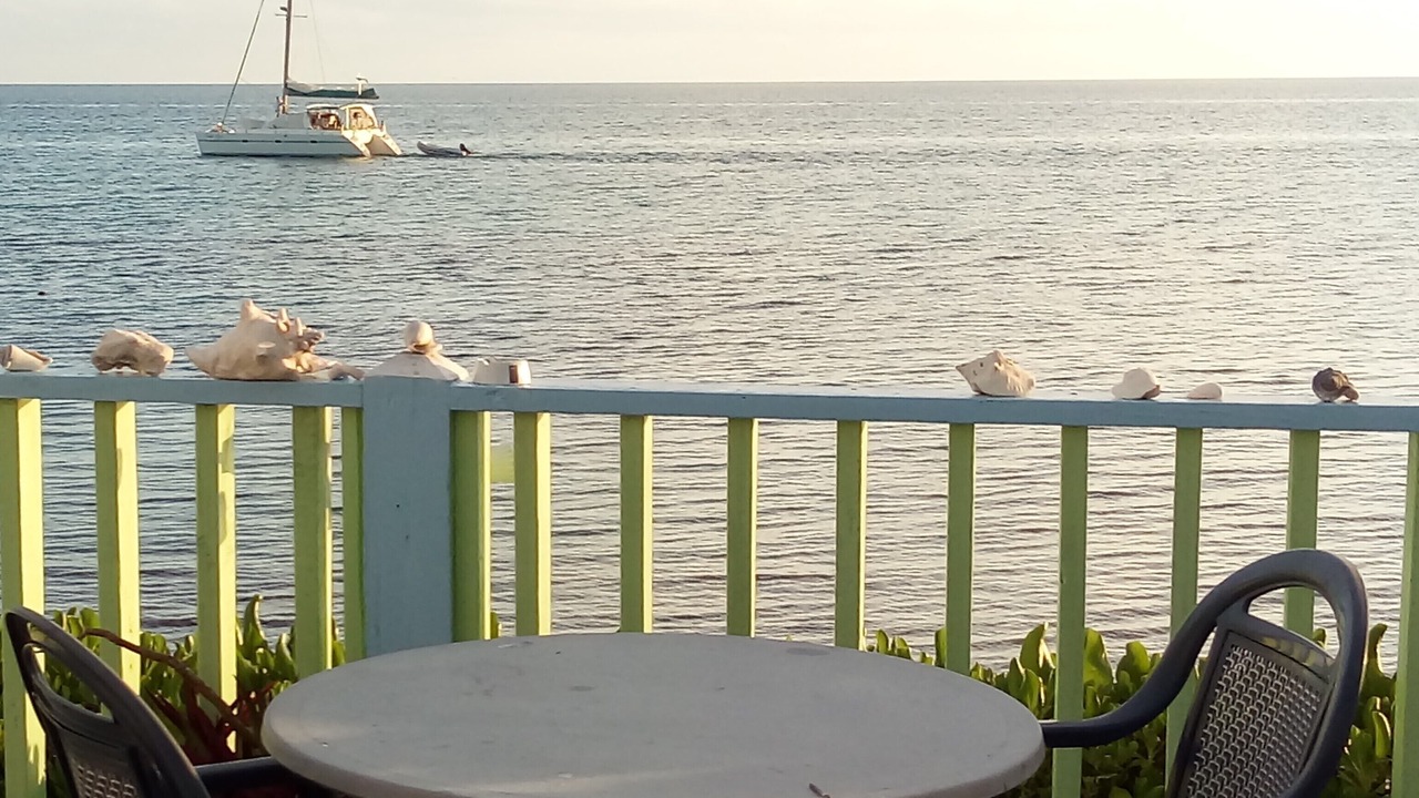 Photo of Outdoor in South Palmetto Point
