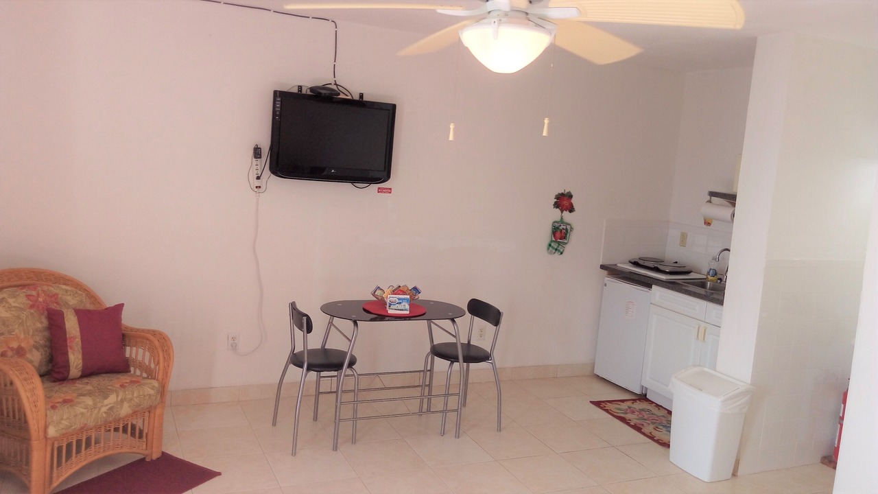 Photo of Livingroom in South Palmetto Point