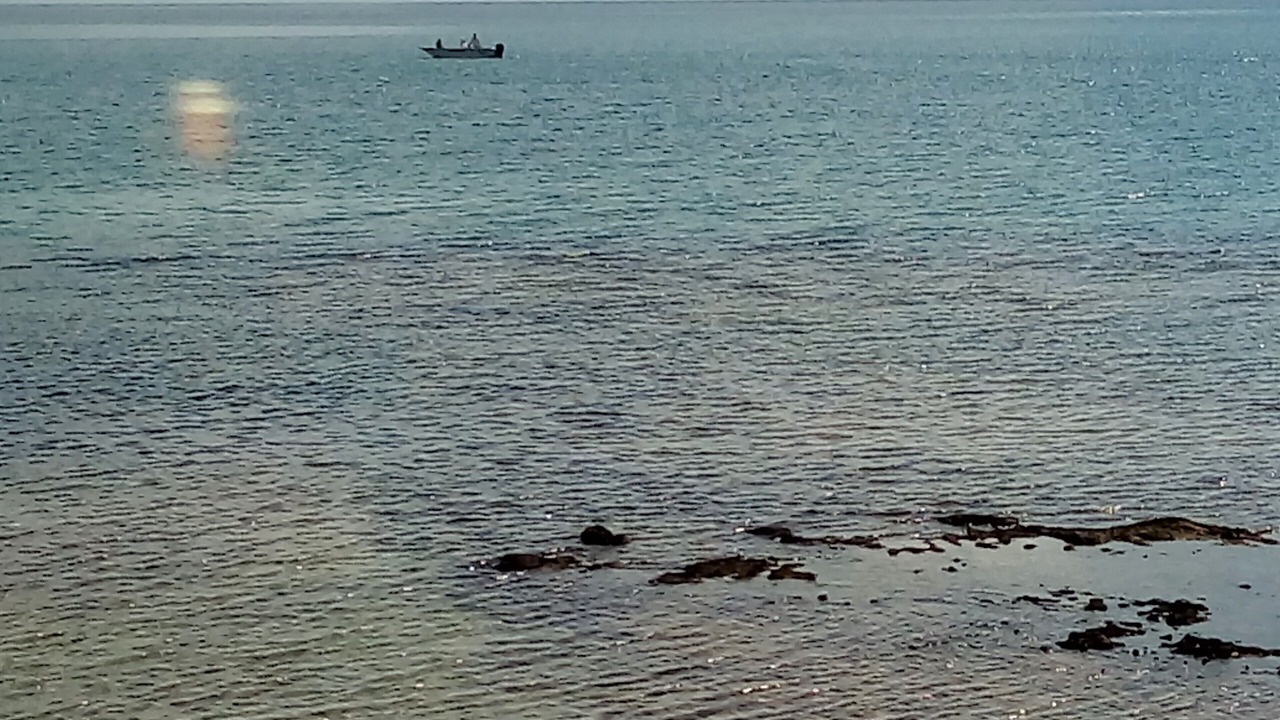 Photo of Others in South Palmetto Point