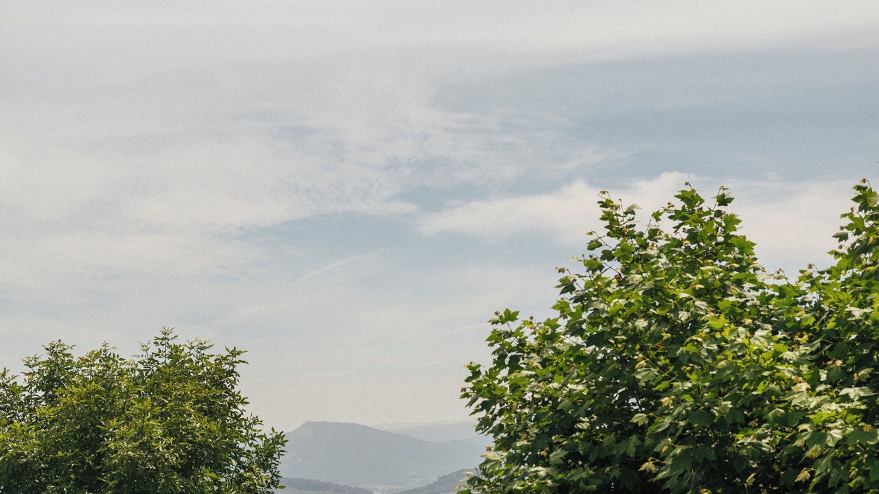 Photo of Outdoor in Igueldo