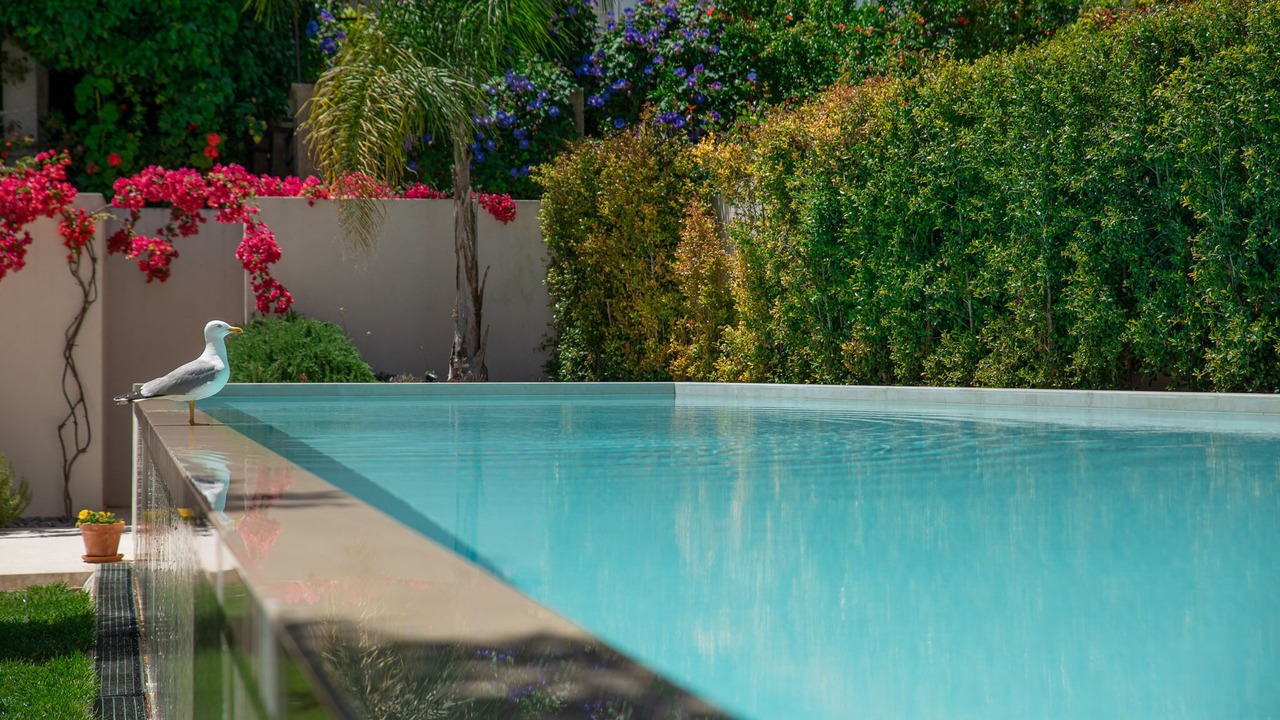 Photo of Outdoor in Cacilhas
