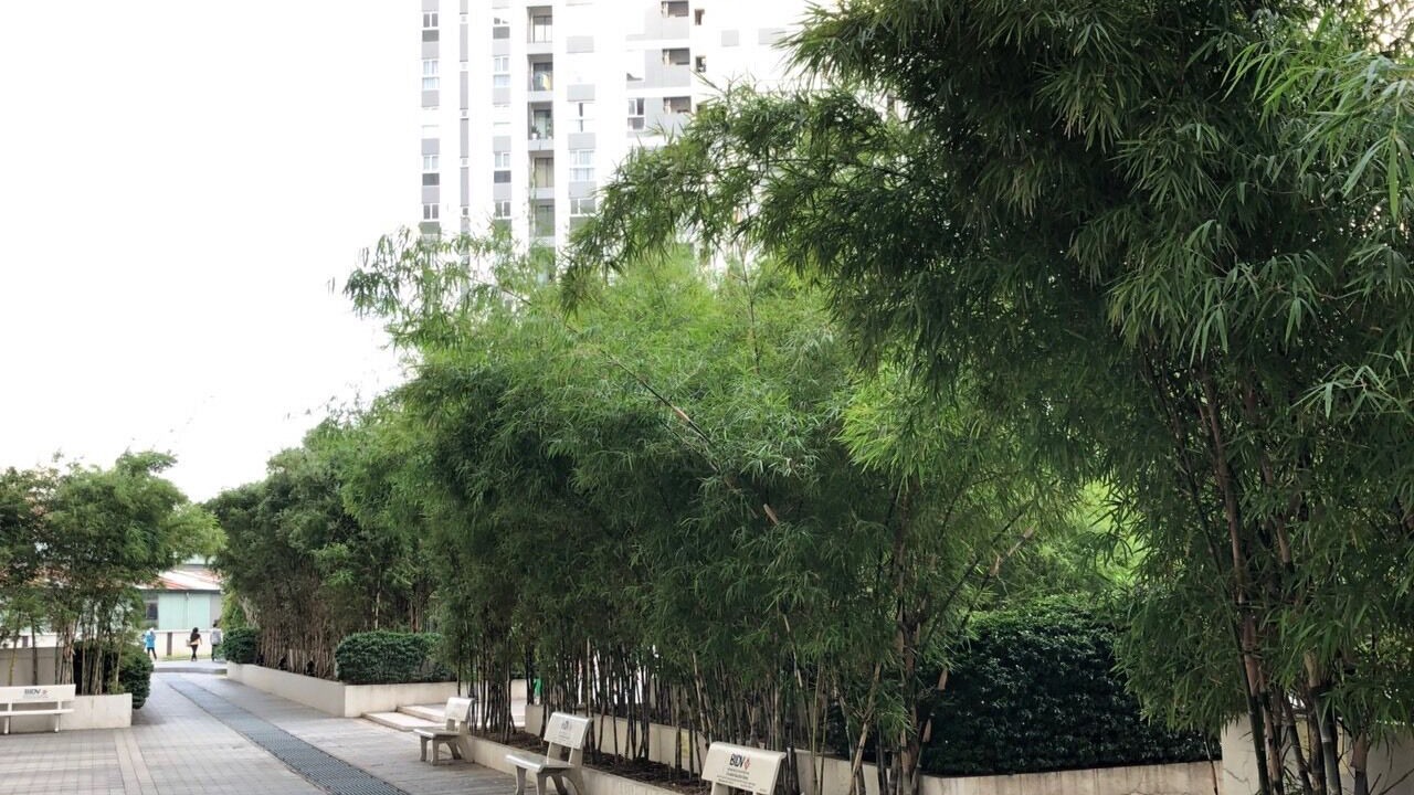 Photo of Outdoor in Thuan An