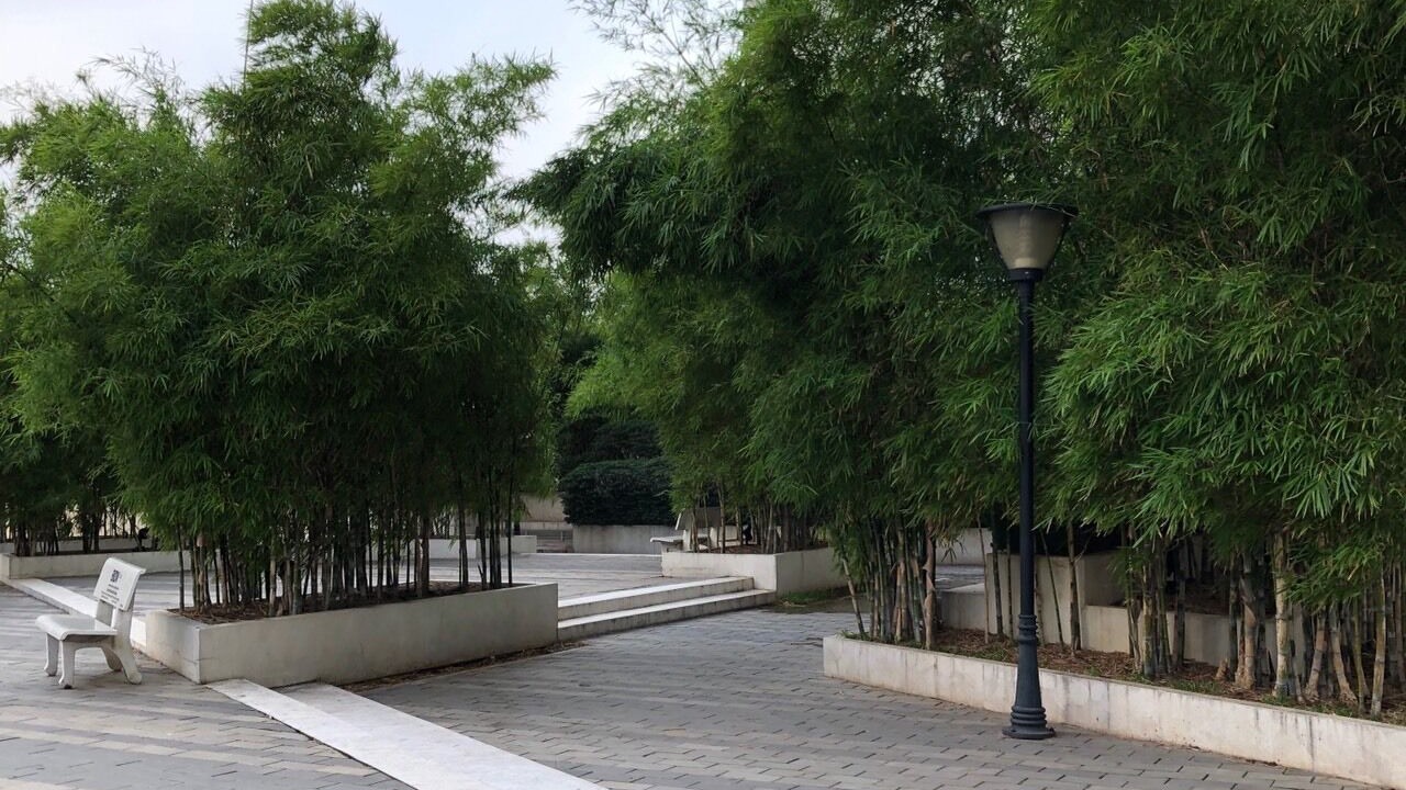 Photo of Outdoor in Thuan An