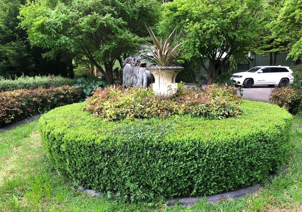 Photo of Outdoor in Sassafras