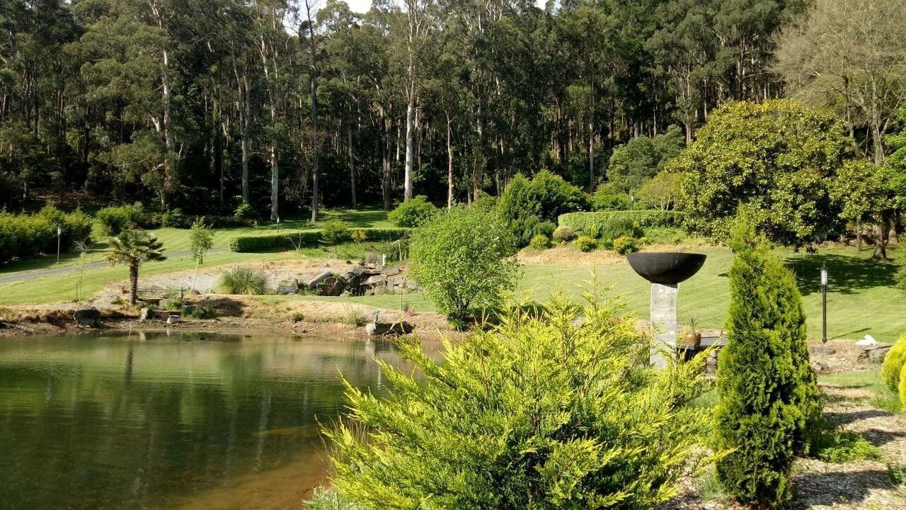 Photo of Outdoor in Sassafras