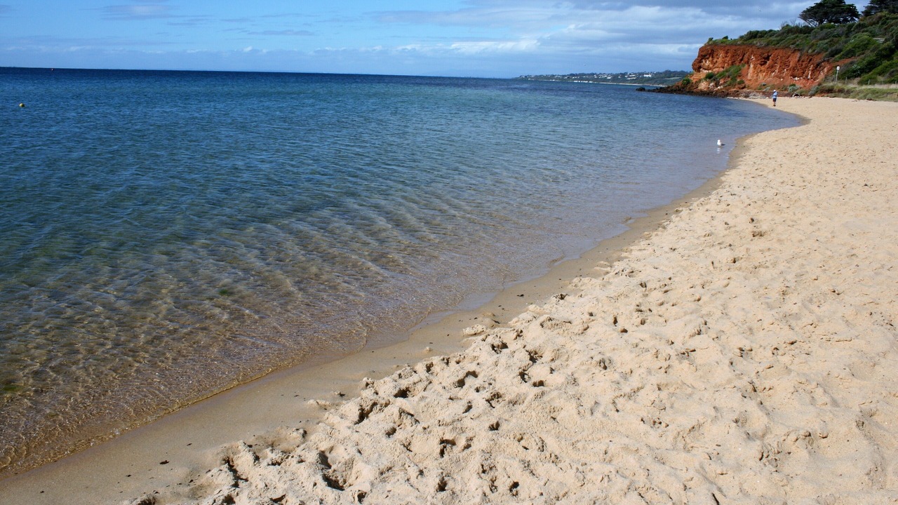 Photo of Others in Mornington