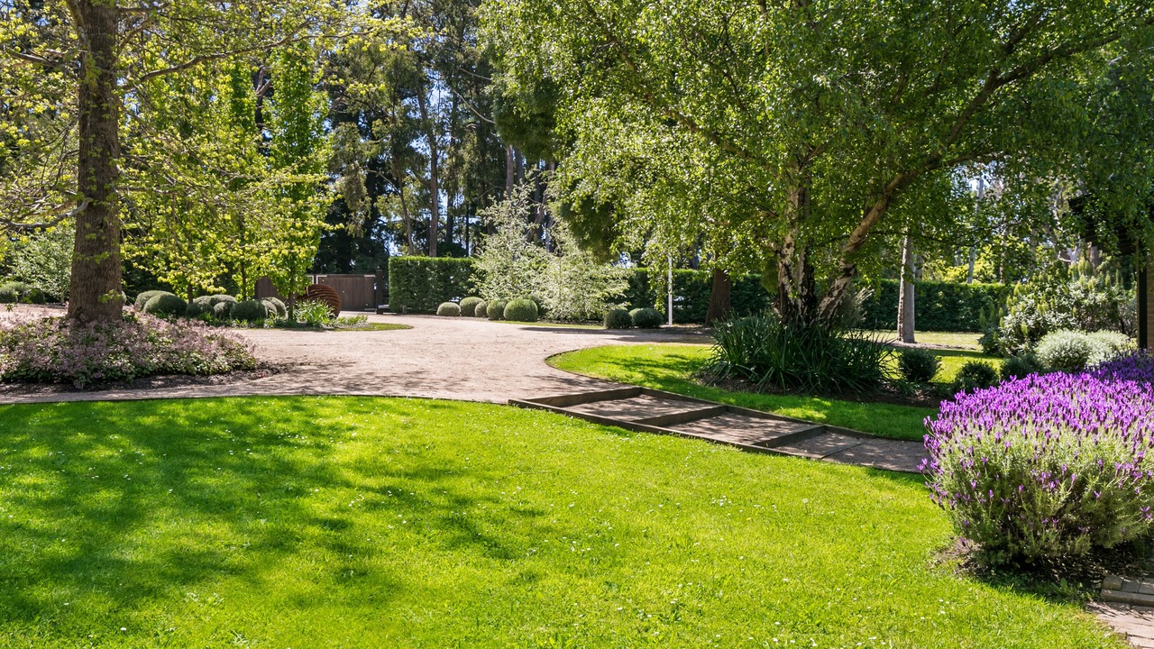 Photo of Outdoor in Red Hill South