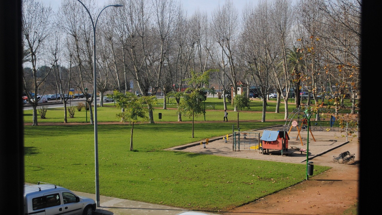 Photo of Others in Distrito Sur