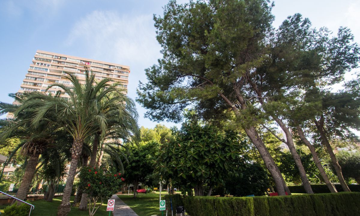 Photo of Outdoor in Benidorm