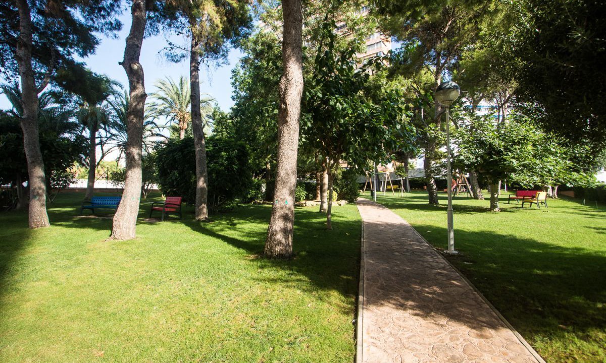Photo of Outdoor in Benidorm