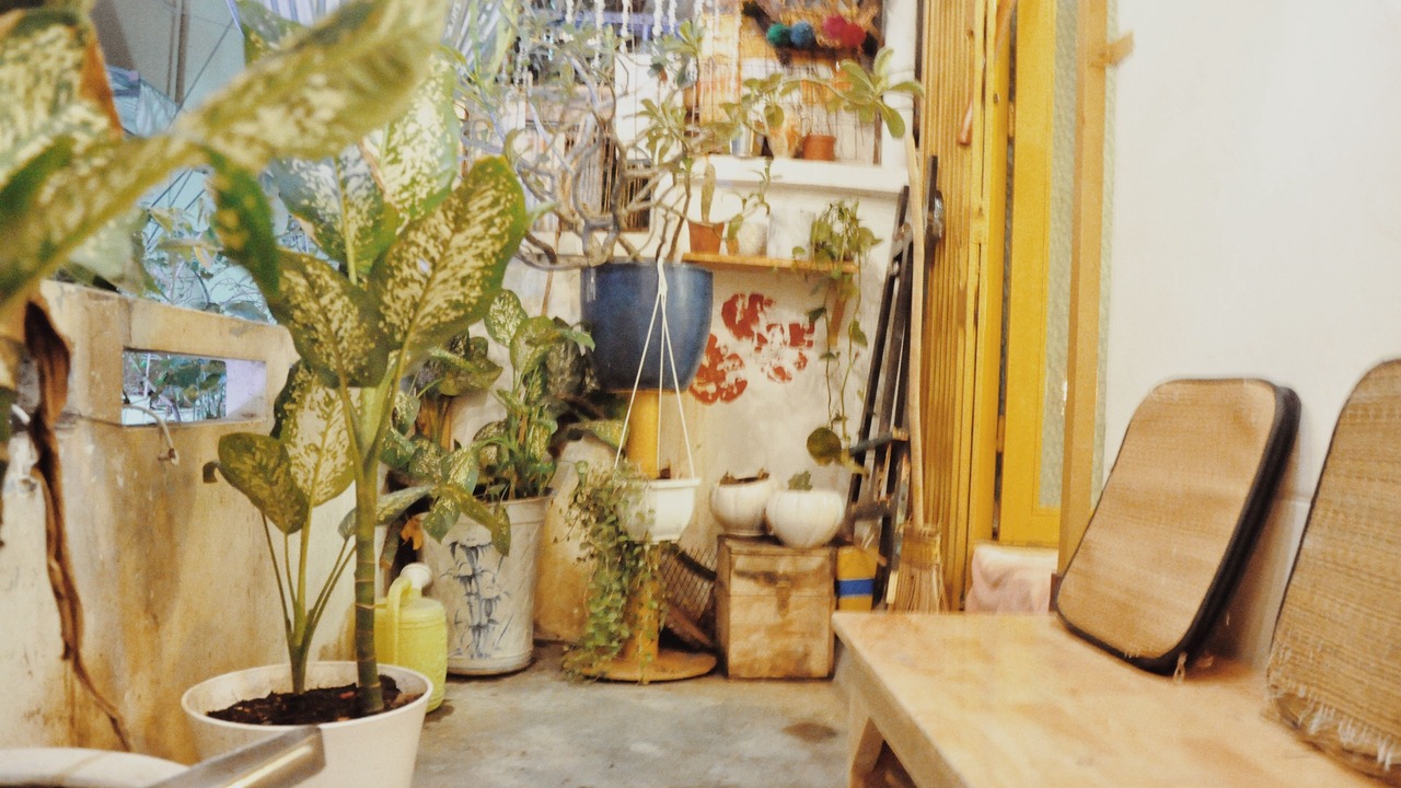 Photo of Others in Little Japan