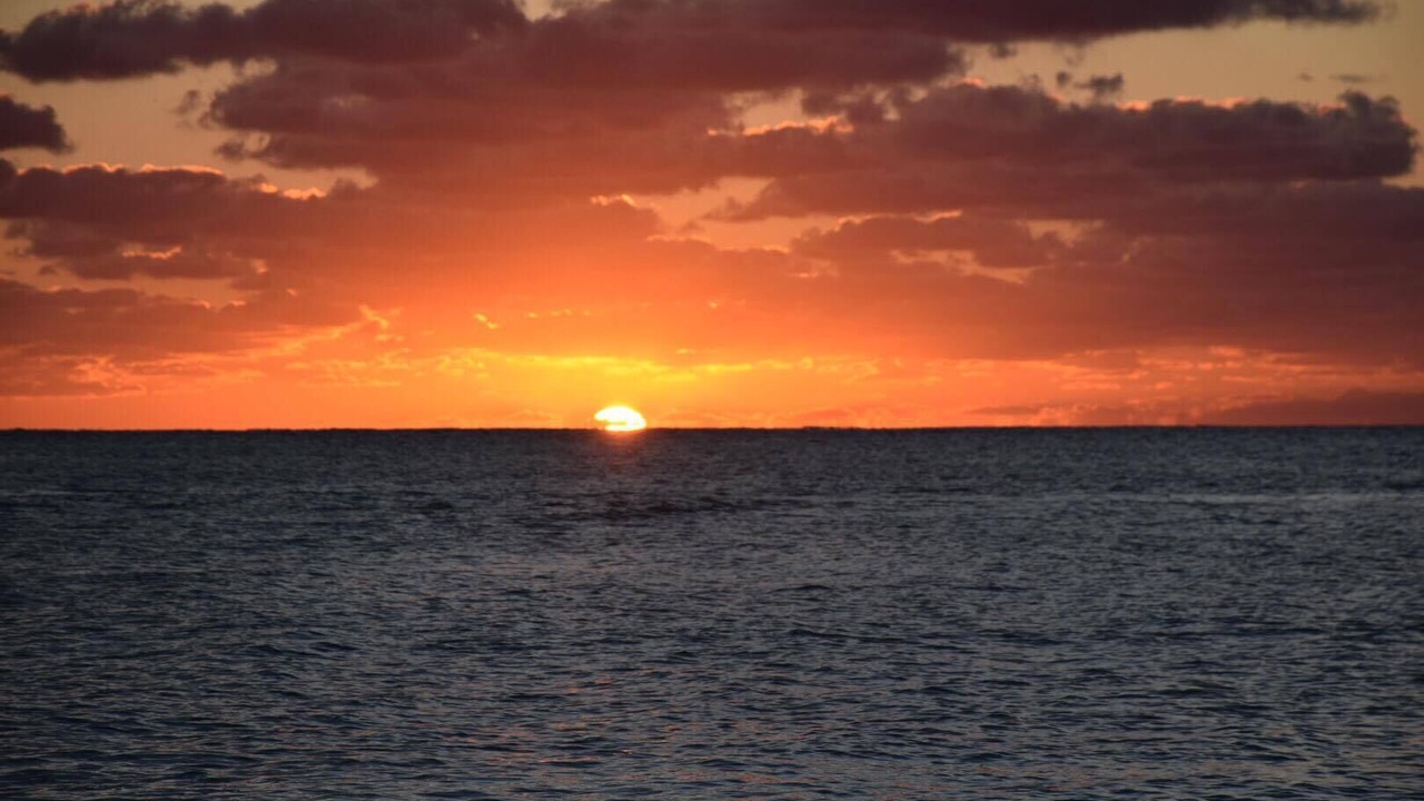 Photo of Others in South Bimini