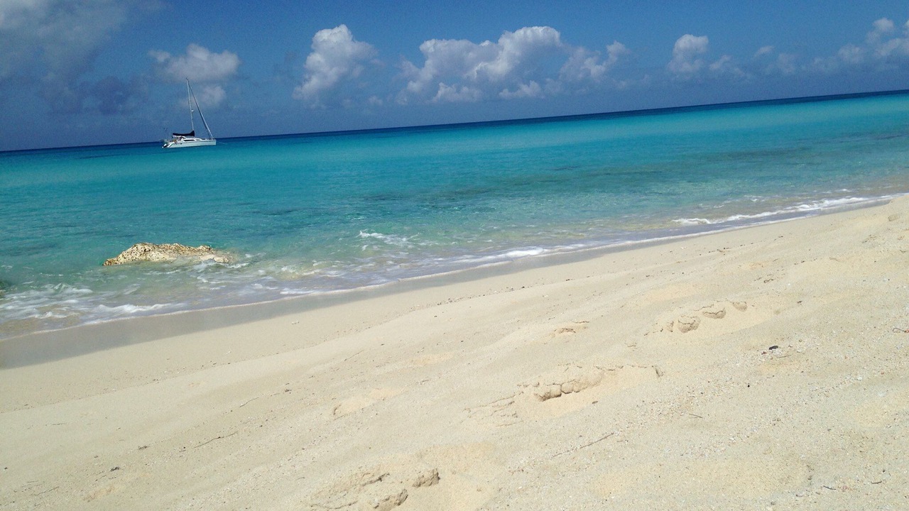 Photo of Others in South Bimini