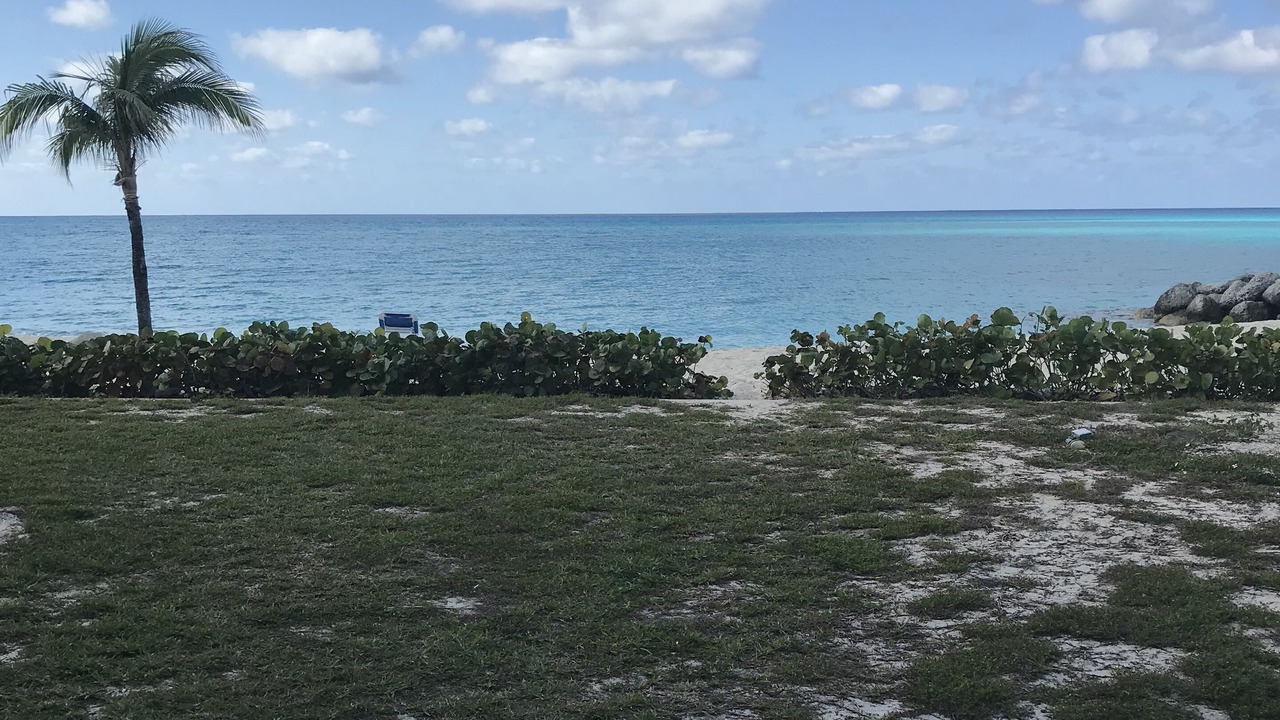Photo of Others in South Bimini