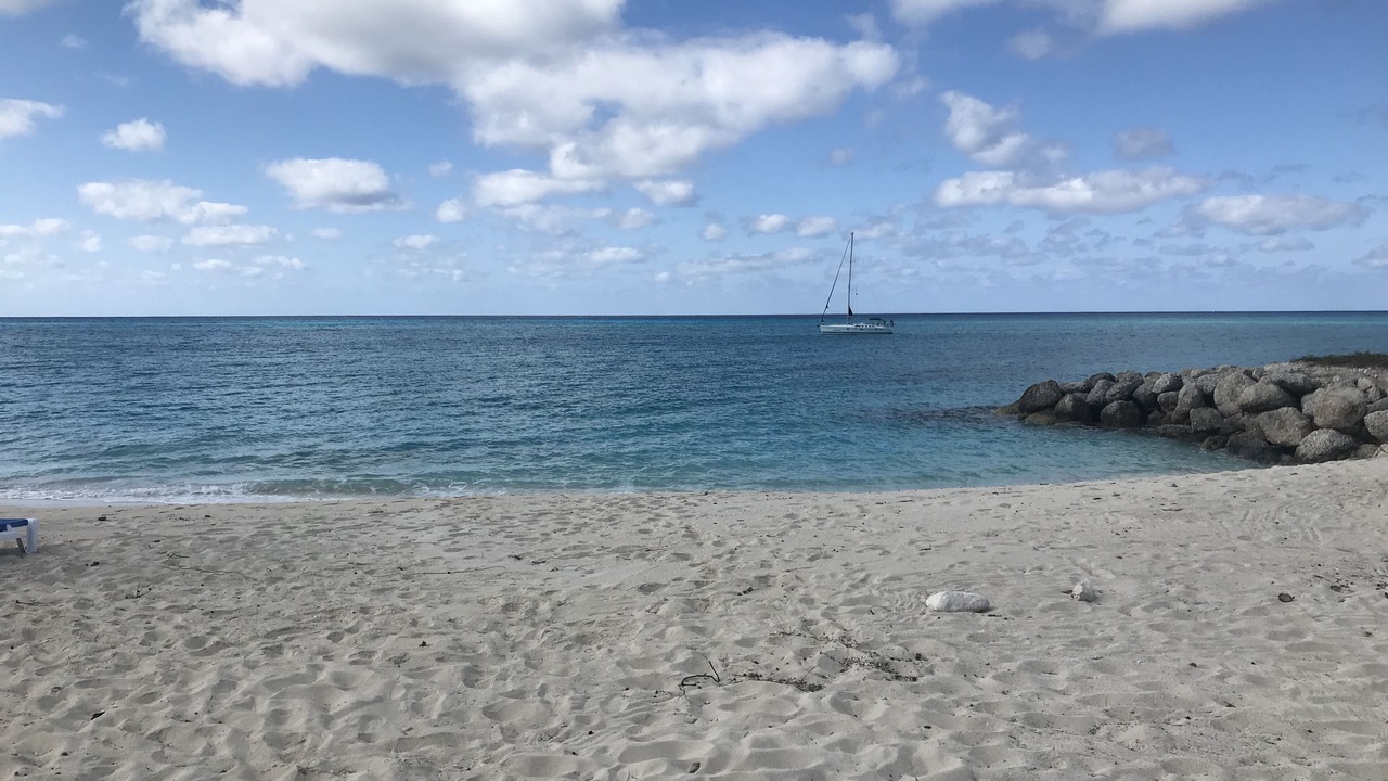 Photo of Others in South Bimini