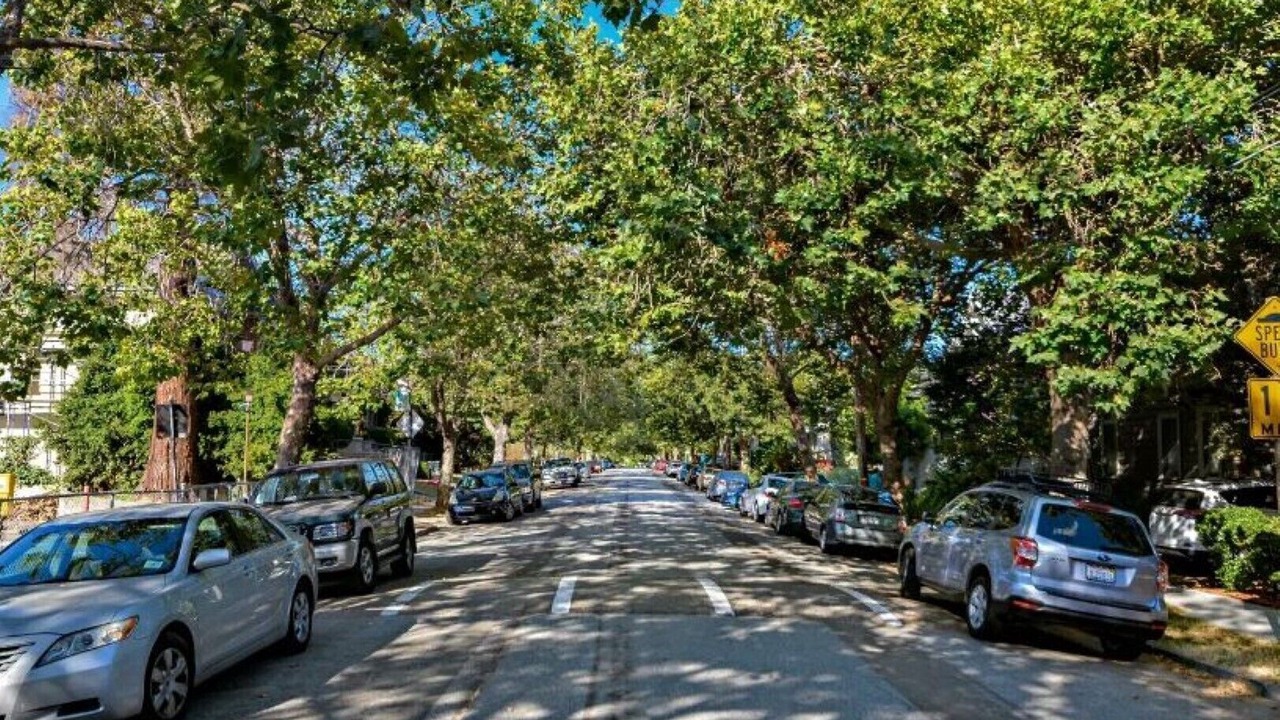 Photo of Others in Rockridge