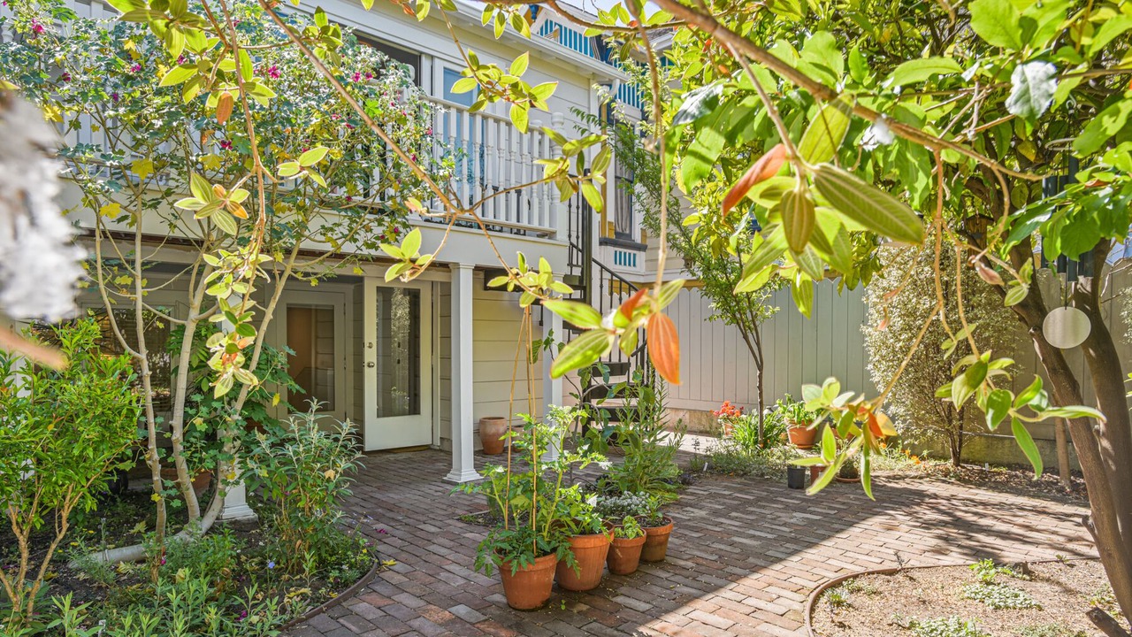 Photo of Outdoor in West Alameda