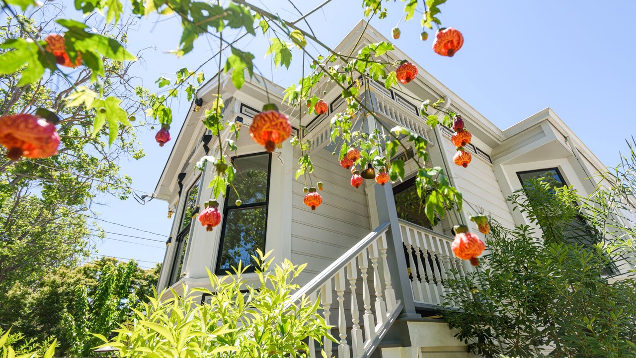 Photo of Outdoor in West Alameda