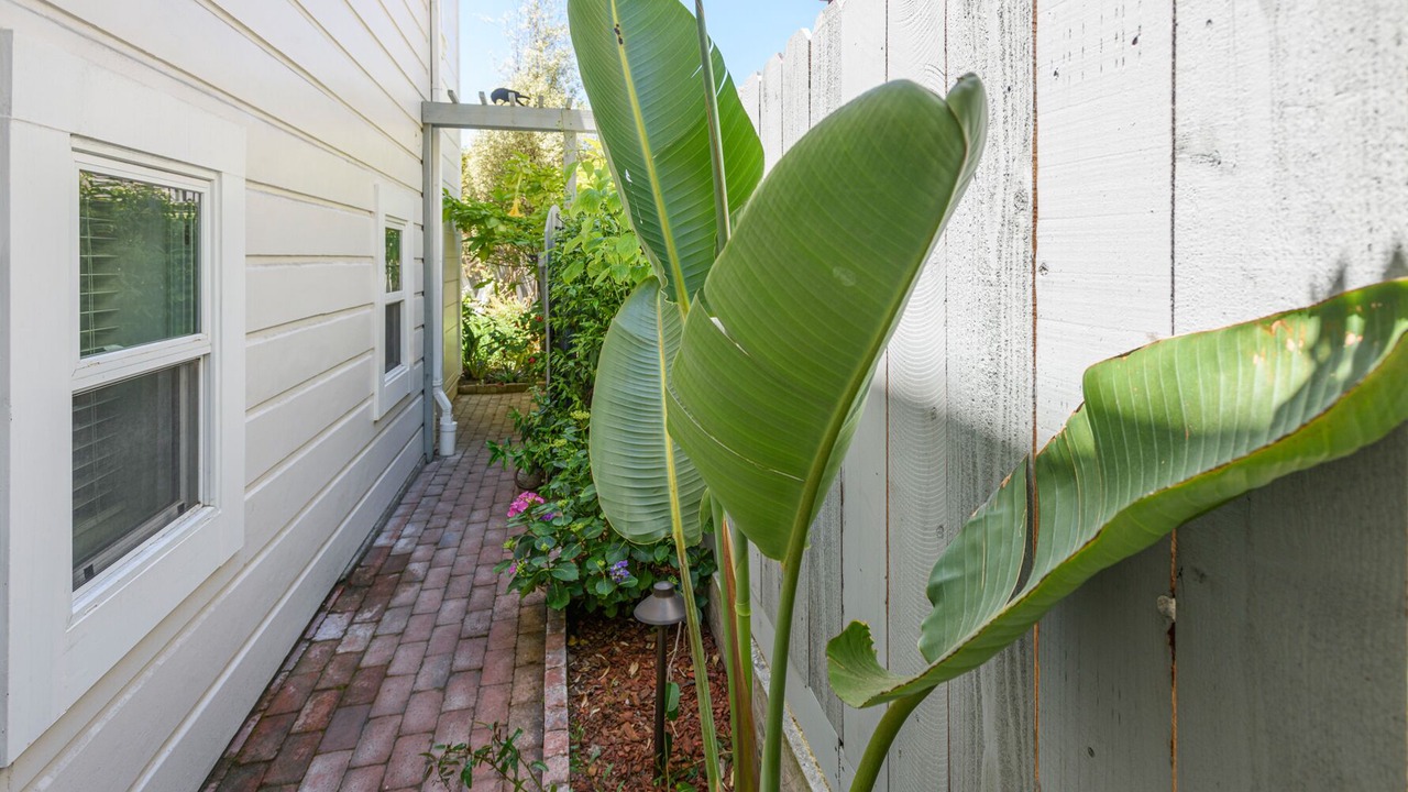 Photo of Outdoor in West Alameda
