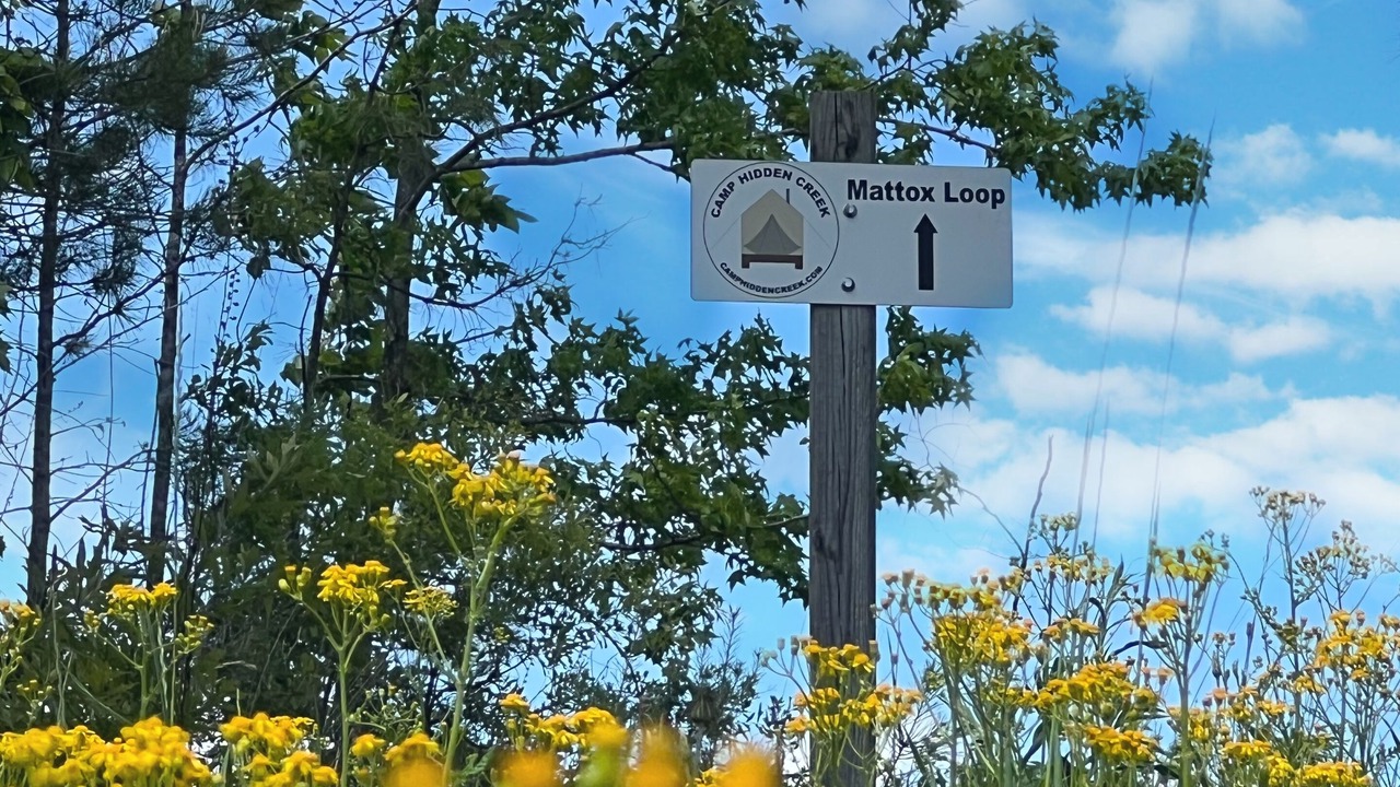 Photo of Outdoor in Ashland