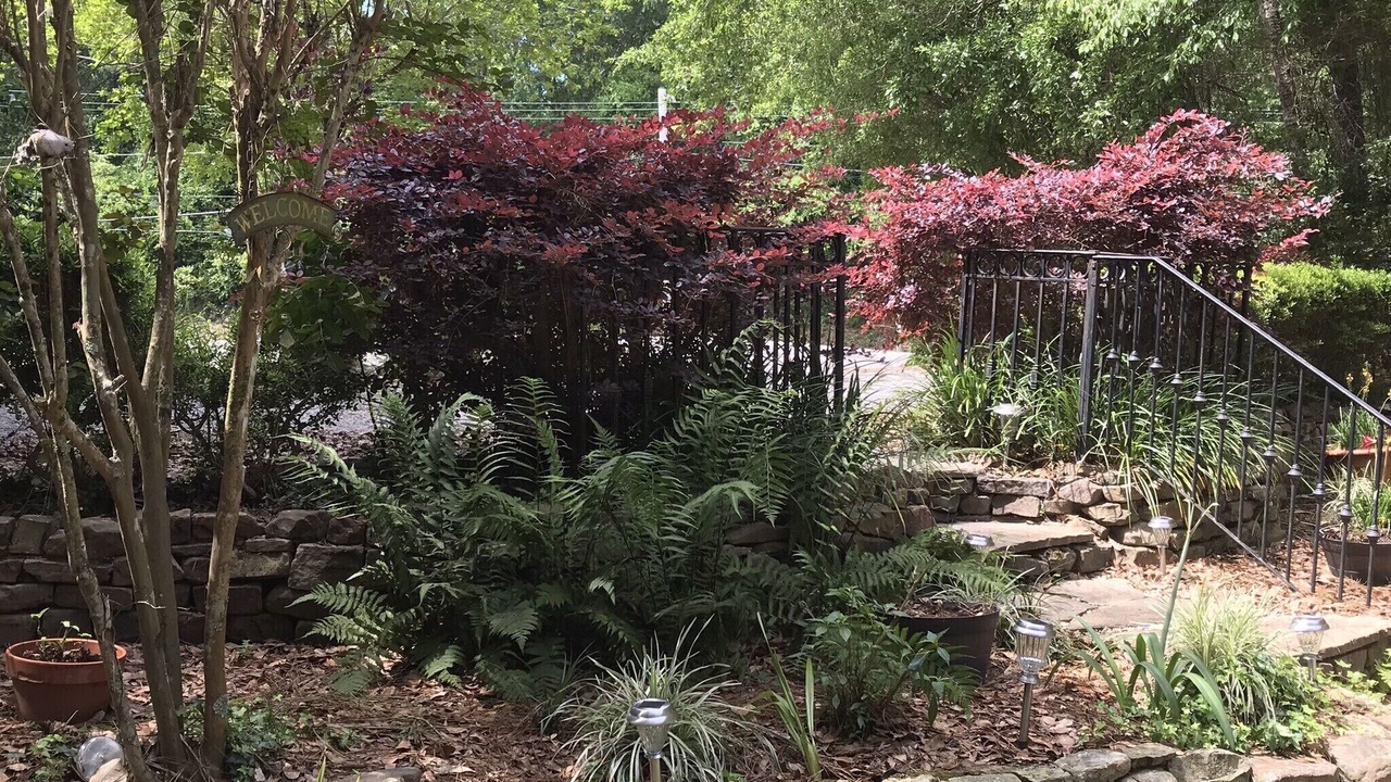 Photo of Outdoor in Fairhope