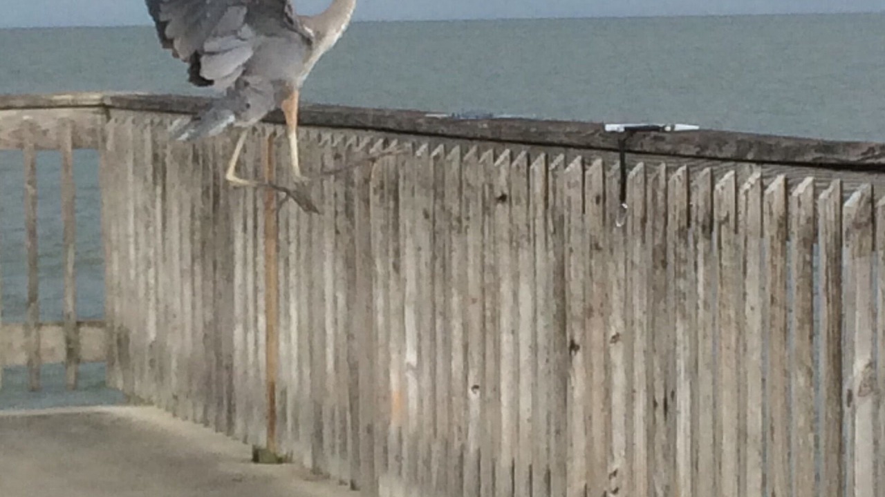 Photo of Others in Fairhope