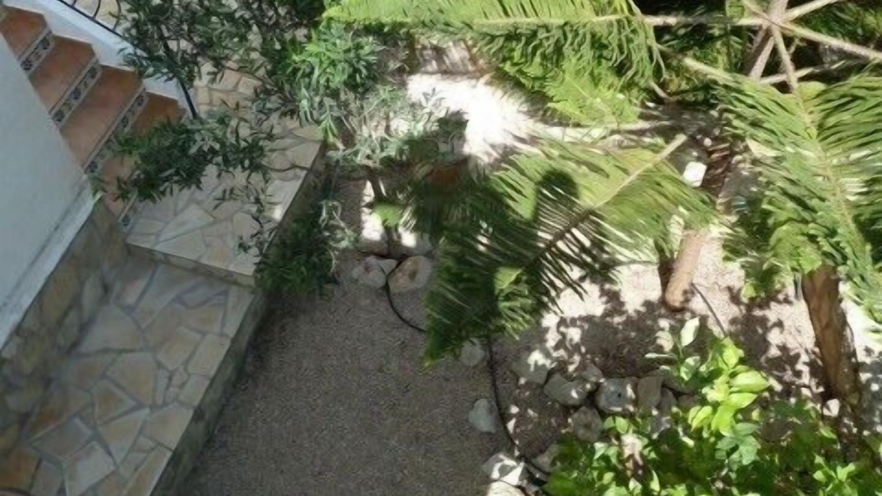 Photo of Outdoor in Sanet y Negrals