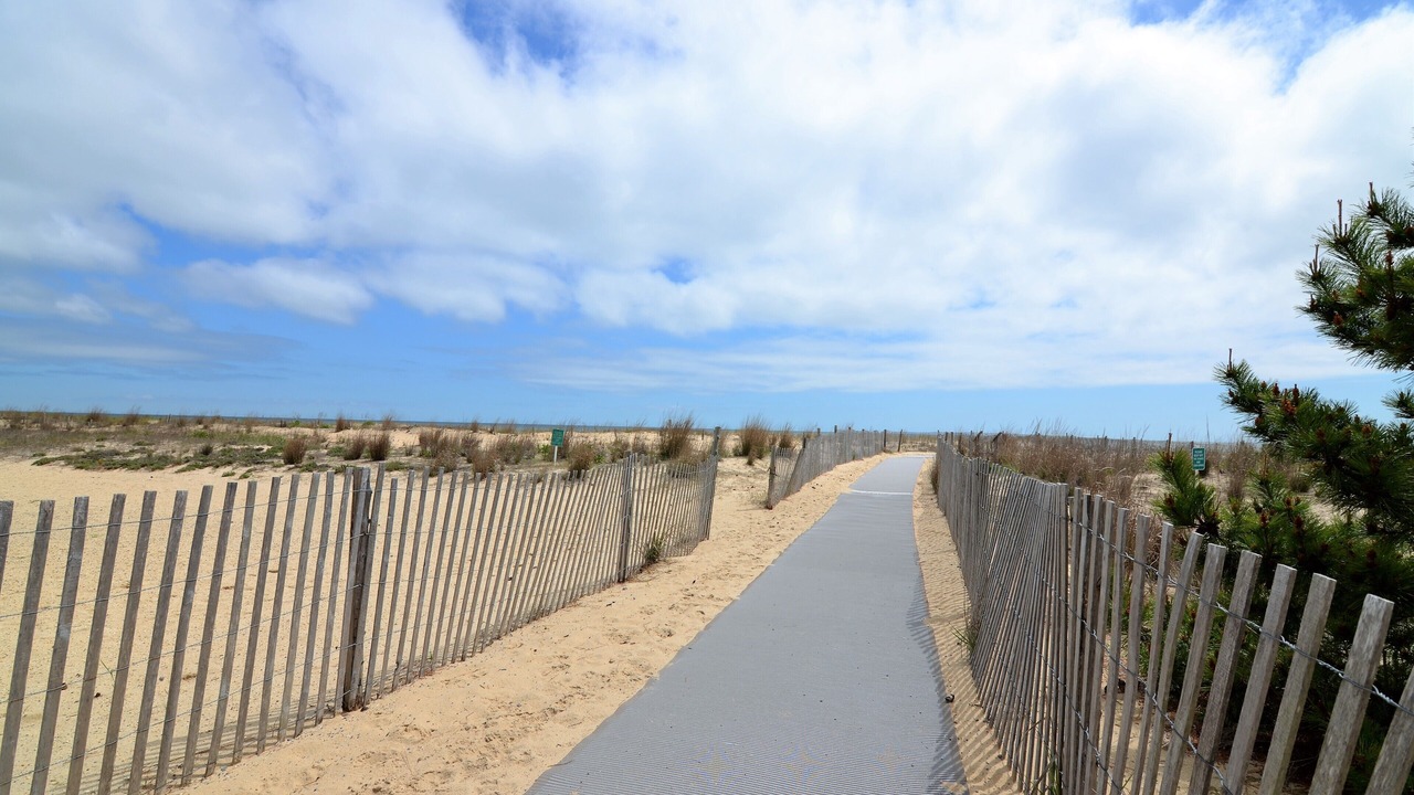 Photo of Others in Rehoboth by the Sea