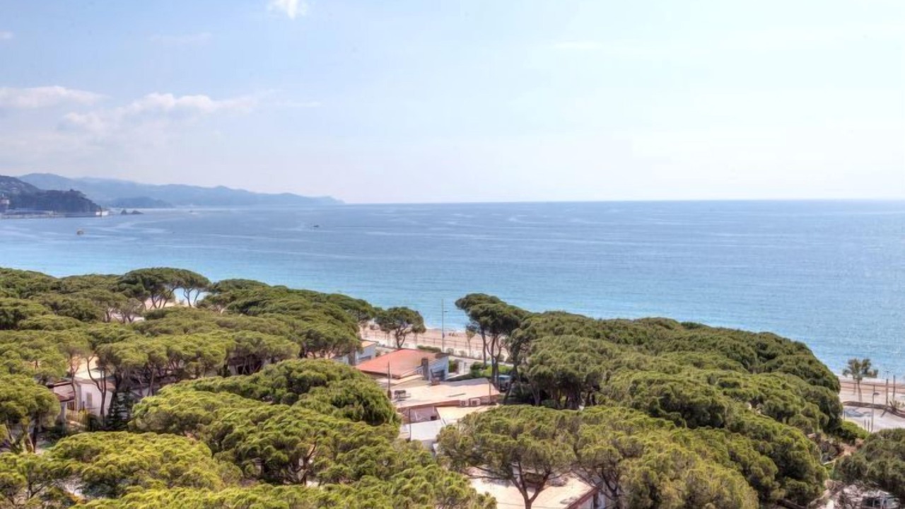 Photo of Others in Blanes