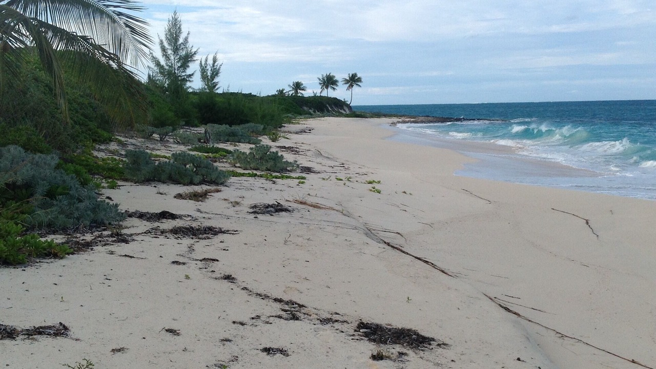 Photo of Others in Green Turtle Cay