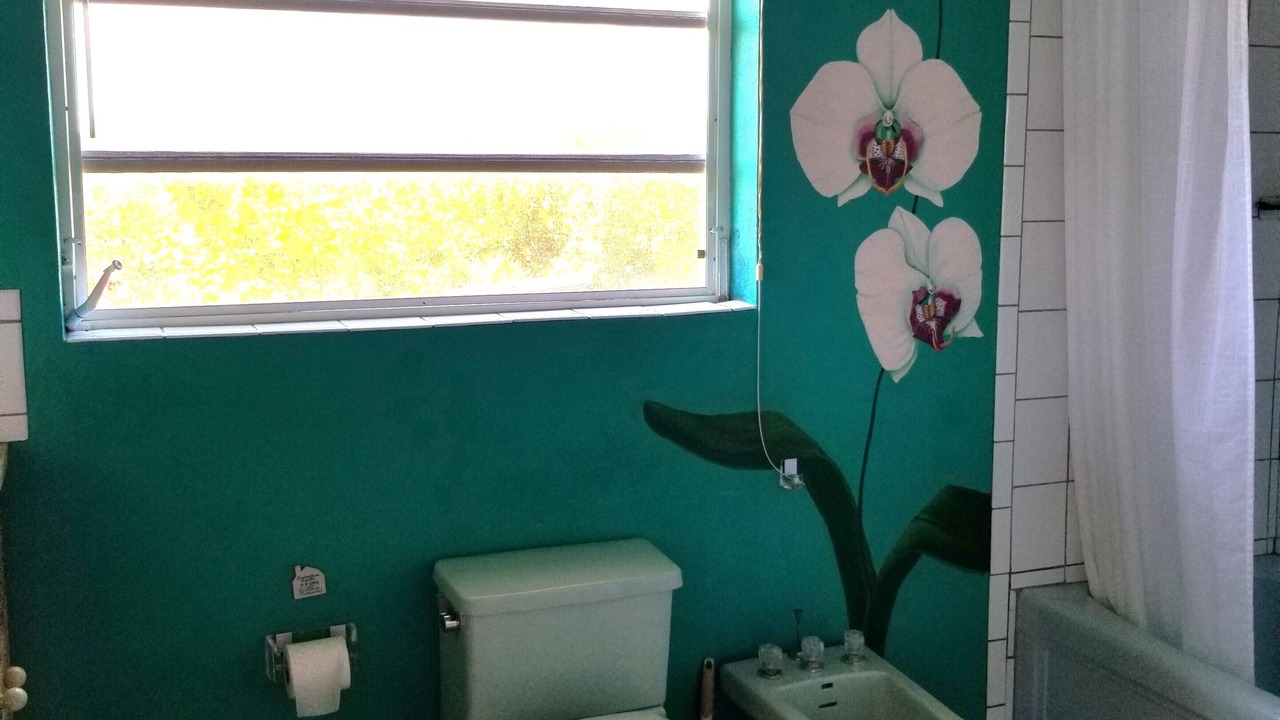 Photo of Bathroom in Green Turtle Cay
