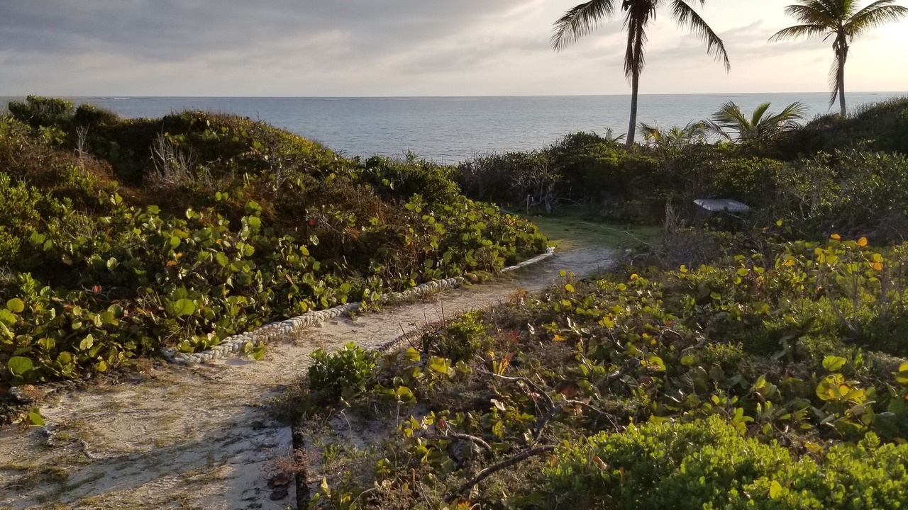 Photo of Others in Green Turtle Cay
