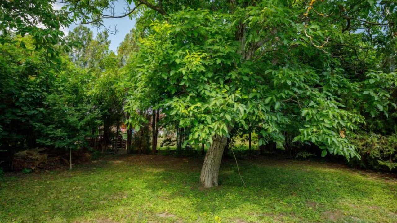 Photo of Outdoor in Balatonfuzfo