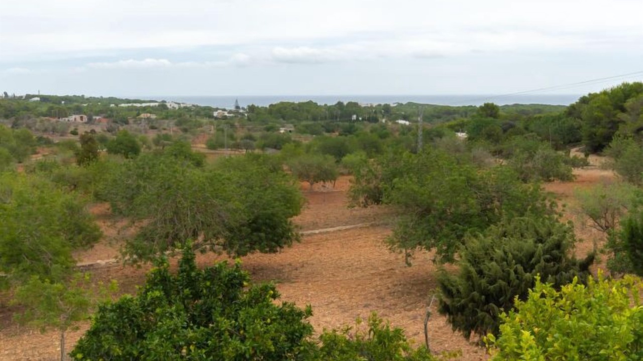 Photo of Others in Santa Eulalia del Rio