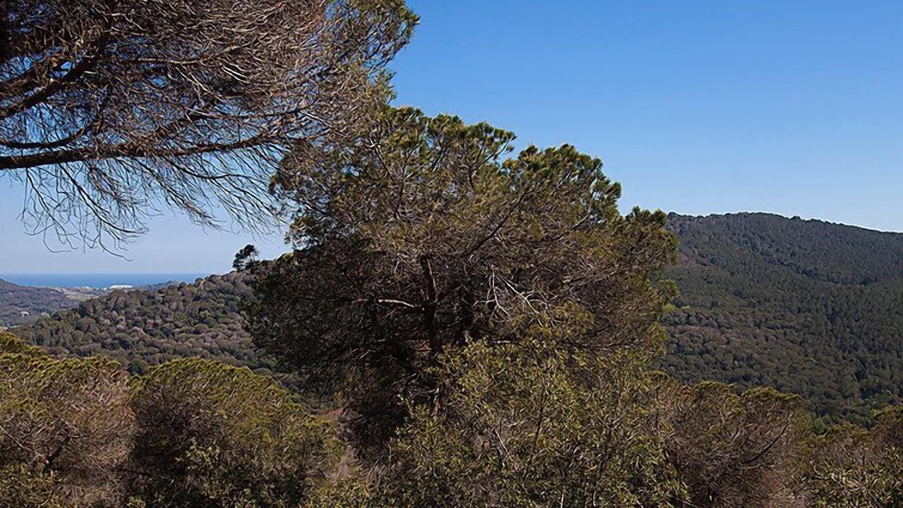 Photo of Outdoor in Argentona