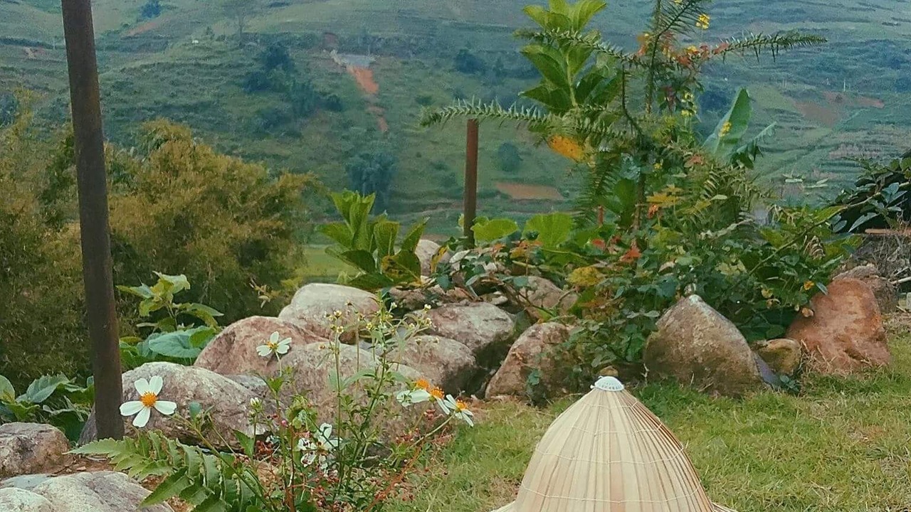 Photo of Outdoor in Sa Pa
