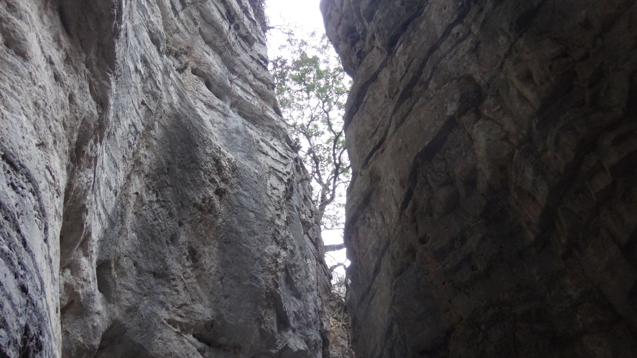 Photo of Outdoor in Patsianos
