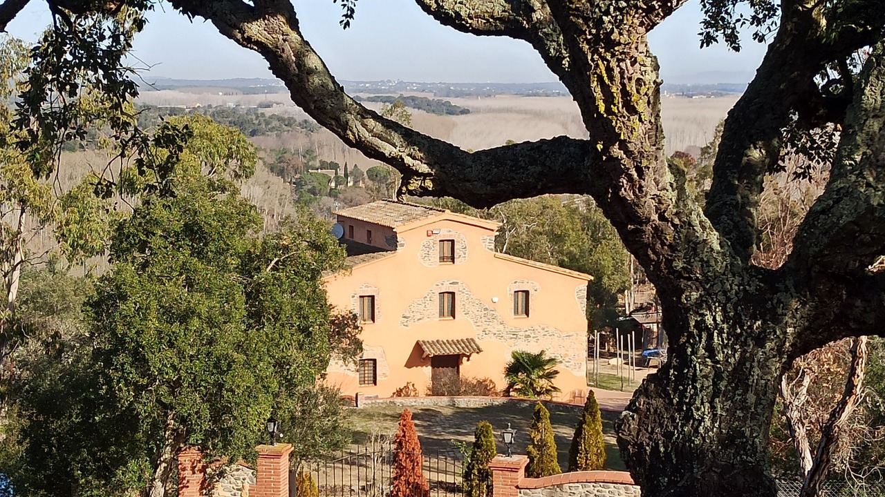 Photo of Outdoor in Macanet de la Selva