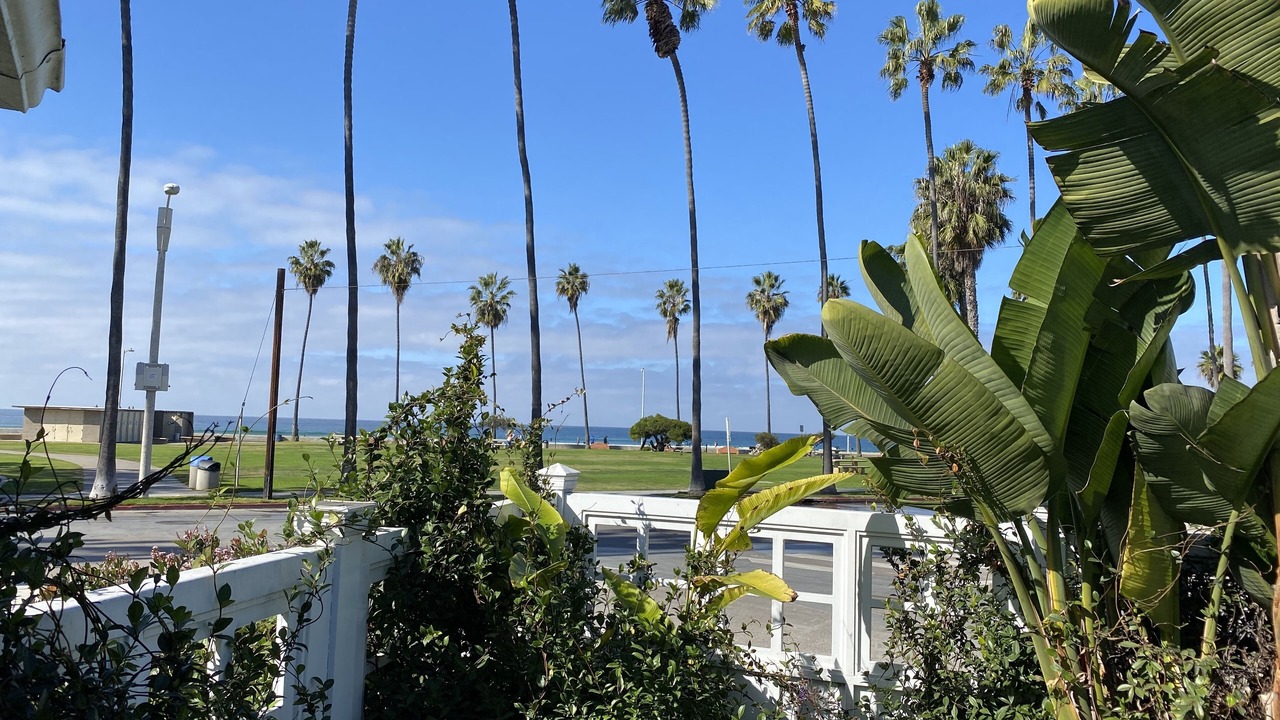 Photo of Outdoor in La Jolla Shores