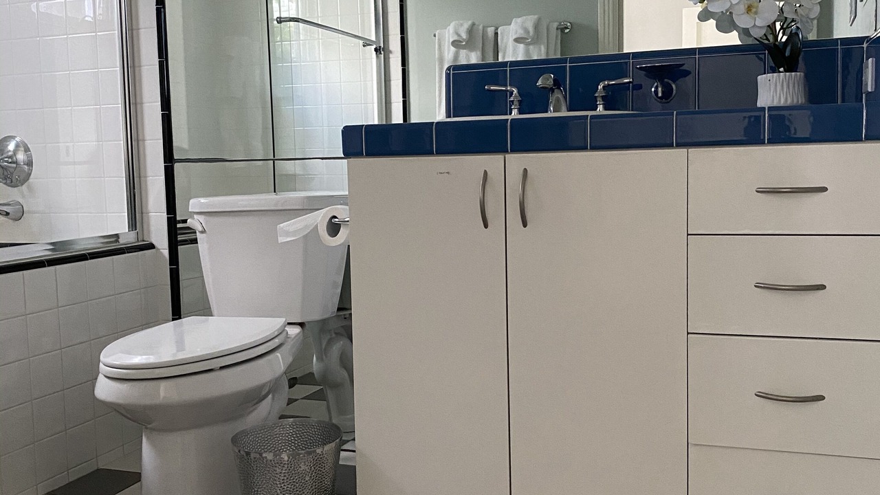 Photo of Bathroom in La Jolla Shores