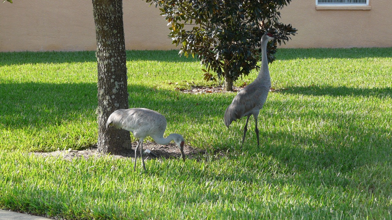 Photo of Outdoor in Silver Creek