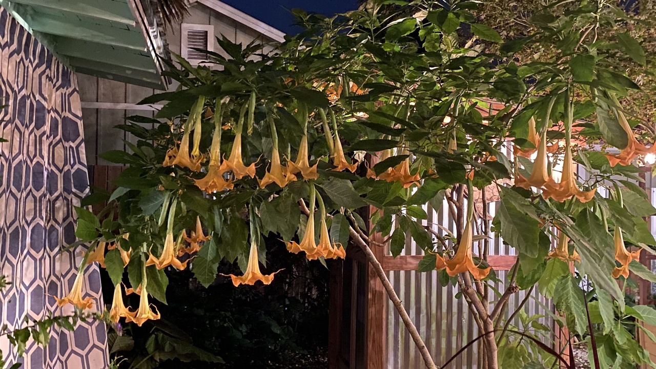 Photo of Outdoor in East Hill