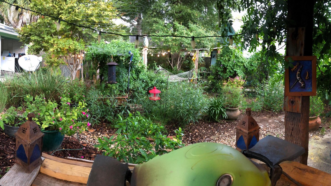 Photo of Outdoor in East Hill