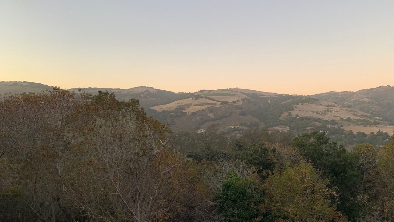 Photo of Others in Carmel