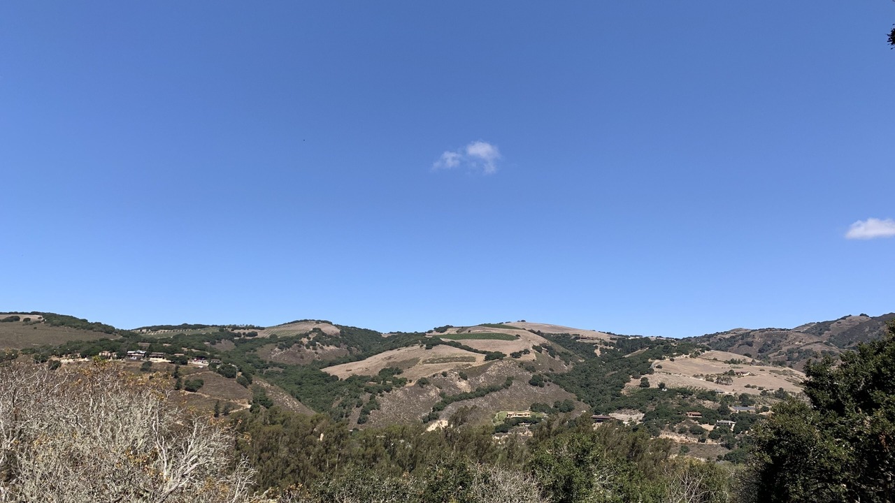 Photo of Others in Carmel