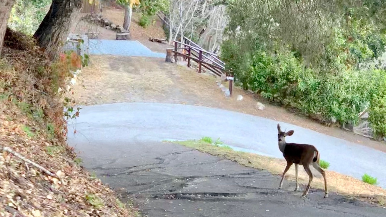 Photo of Outdoor in Carmel