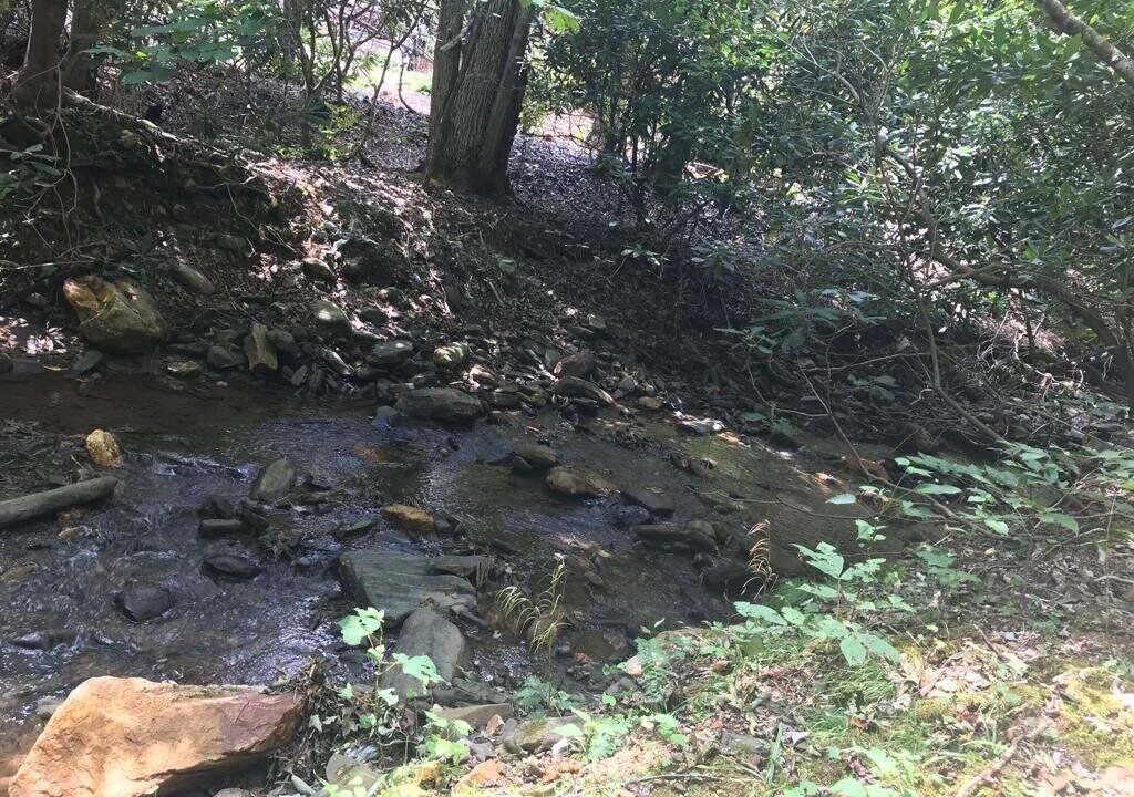 Photo of Outdoor in Todd