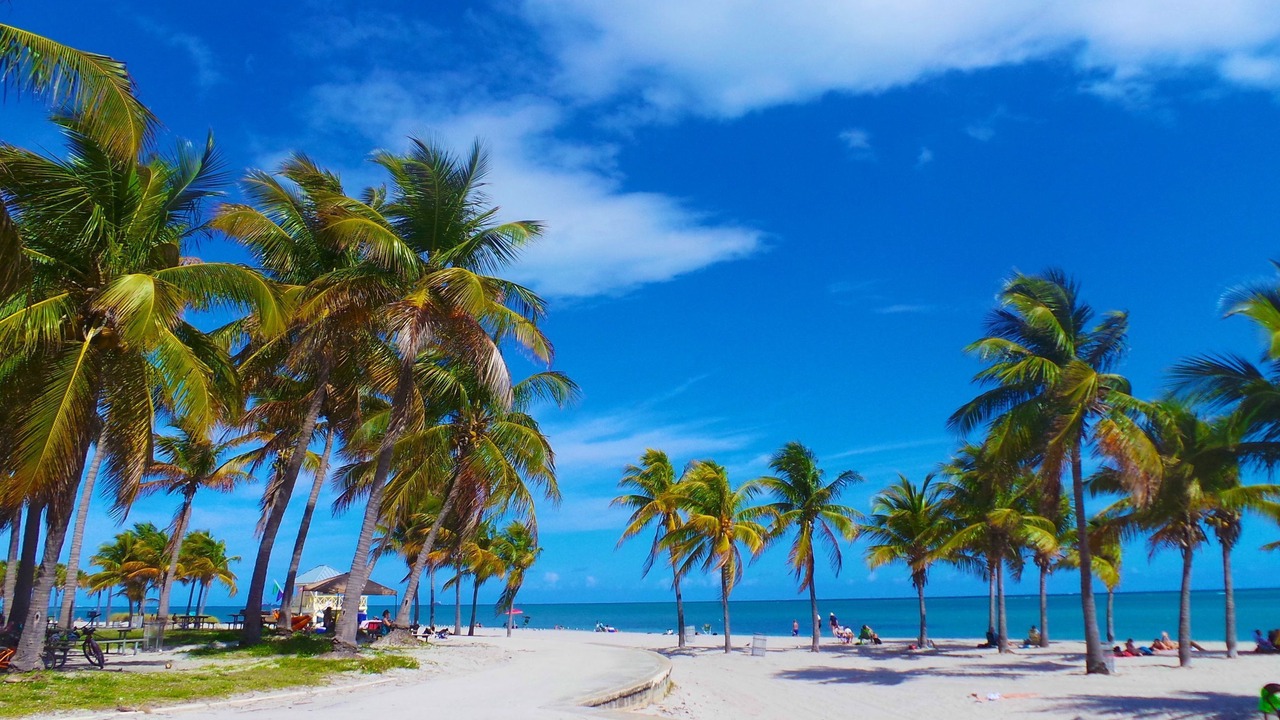 Photo of Others in Key Biscayne