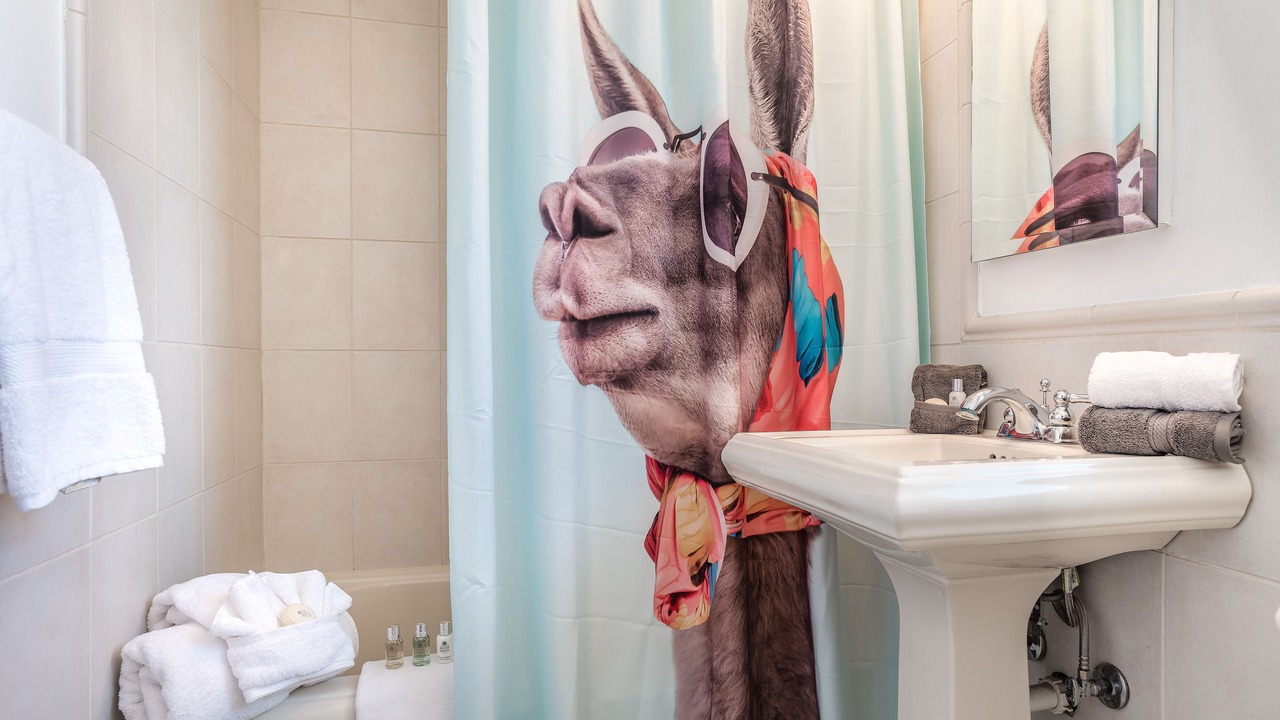 Photo of Bathroom in El Mirador